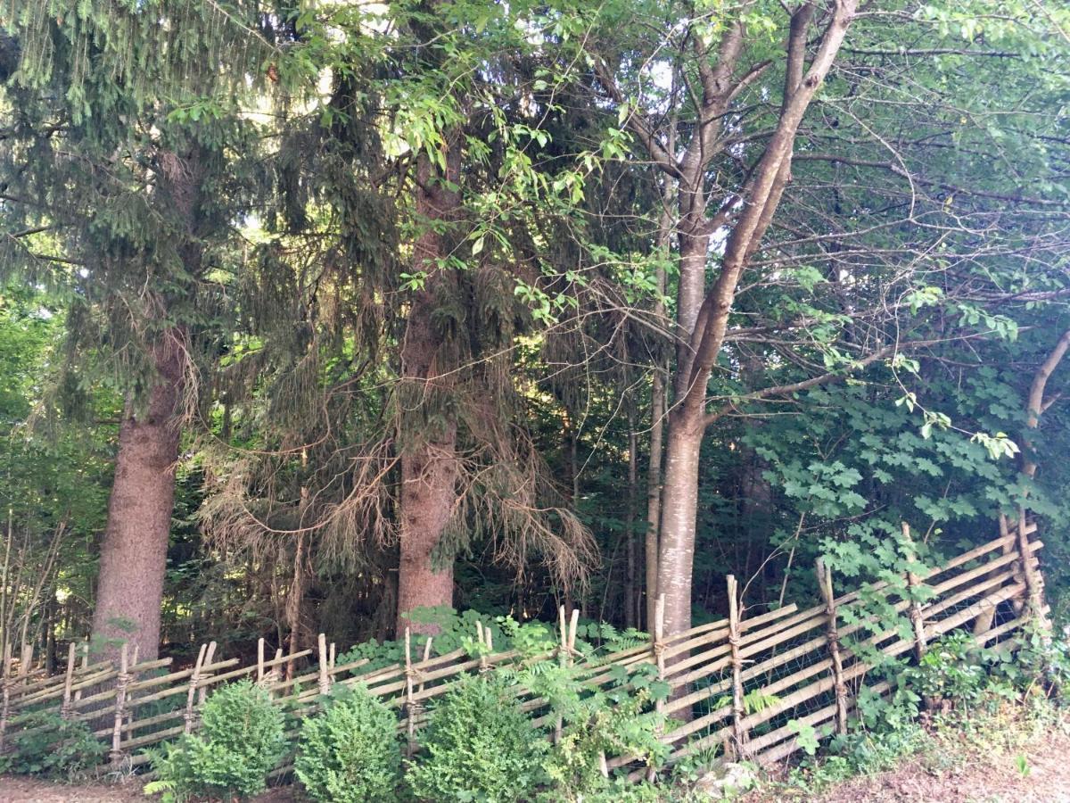 Naturforsthaus Gartenblick Fuer Hunde - Und Naturverbundene Menschen Preitenegg Exterior foto