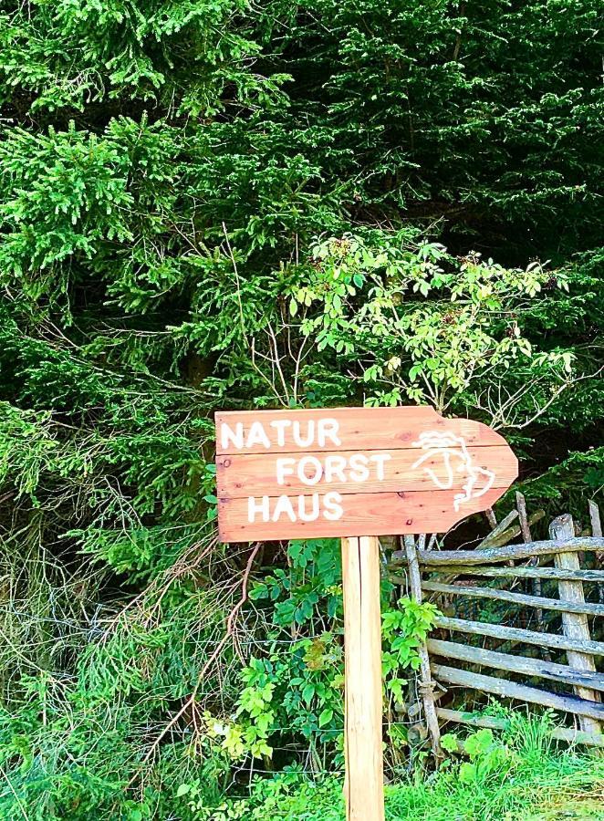 Naturforsthaus Gartenblick Fuer Hunde - Und Naturverbundene Menschen Preitenegg Exterior foto