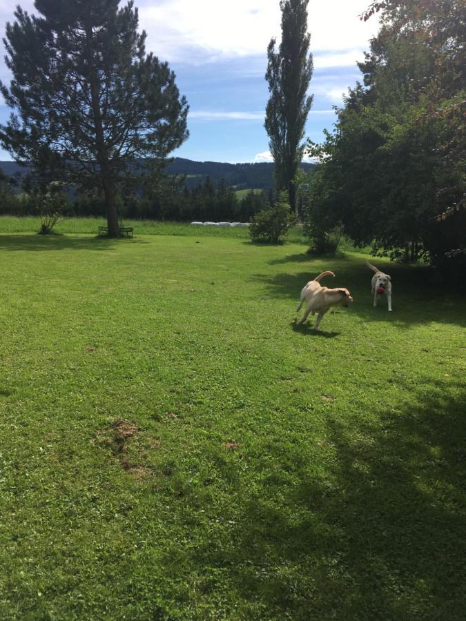 Naturforsthaus Gartenblick Fuer Hunde - Und Naturverbundene Menschen Preitenegg Exterior foto