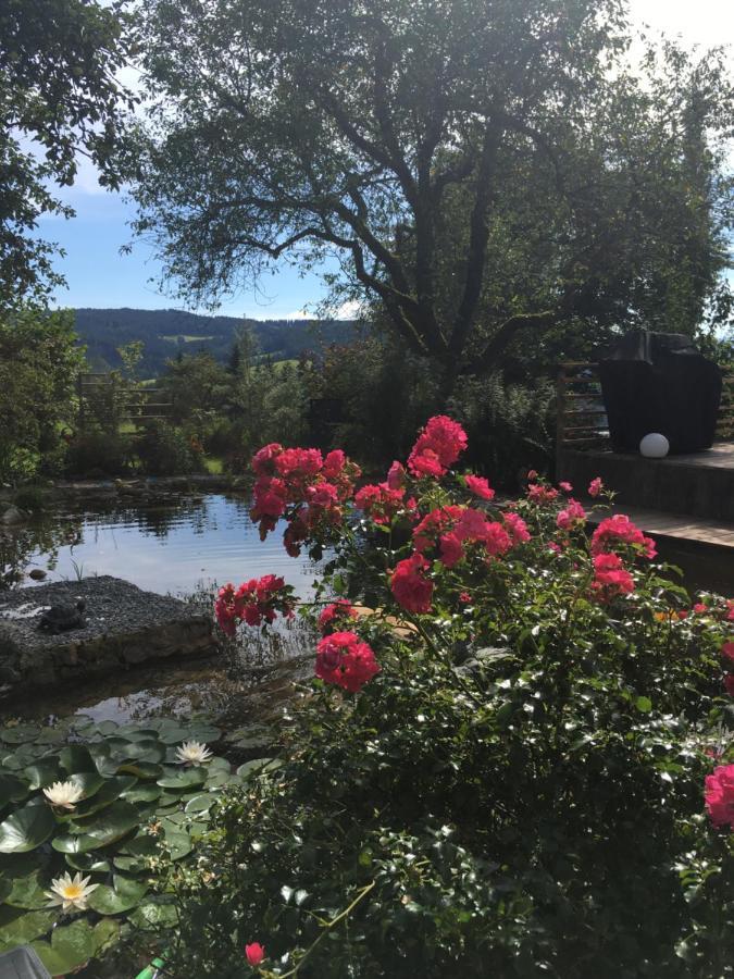Naturforsthaus Gartenblick Fuer Hunde - Und Naturverbundene Menschen Preitenegg Exterior foto